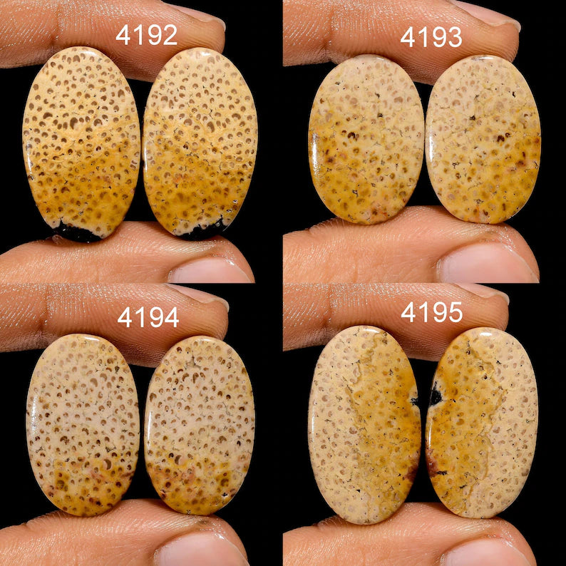 coral gemstone cabochon earring pair