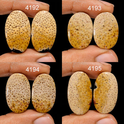 coral gemstone cabochon earring pair