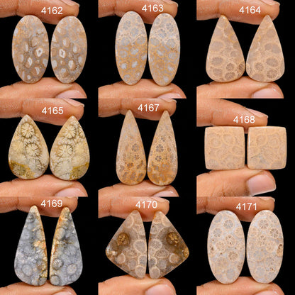Fossil Coral Gemstone Pair, Mix Shape Cabochons, AAA Quality