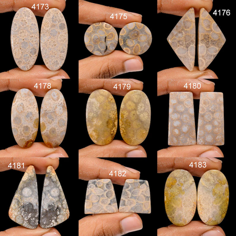 Fossil Coral Gemstone Pair, Mix Shape Cabochons, AAA Quality