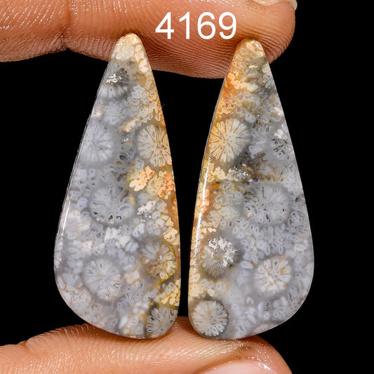 Fossil Coral Gemstone Pair, Mix Shape Cabochons, AAA Quality