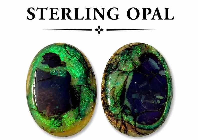 Two oval cabochon sterling opal gemstones displayed side by side on a white background, with the text 'STERLING OPAL' printed above them. The left stone shows vibrant green, black, and gold tones, while the right stone displays deep blue, green, and brown patterns.