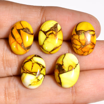 Flat back view of the Yellow Turquoise oval cabochon with visible measurements, helping buyers confirm fit before ordering a setting